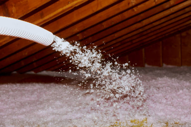 Best Home Insulation Services  in USA